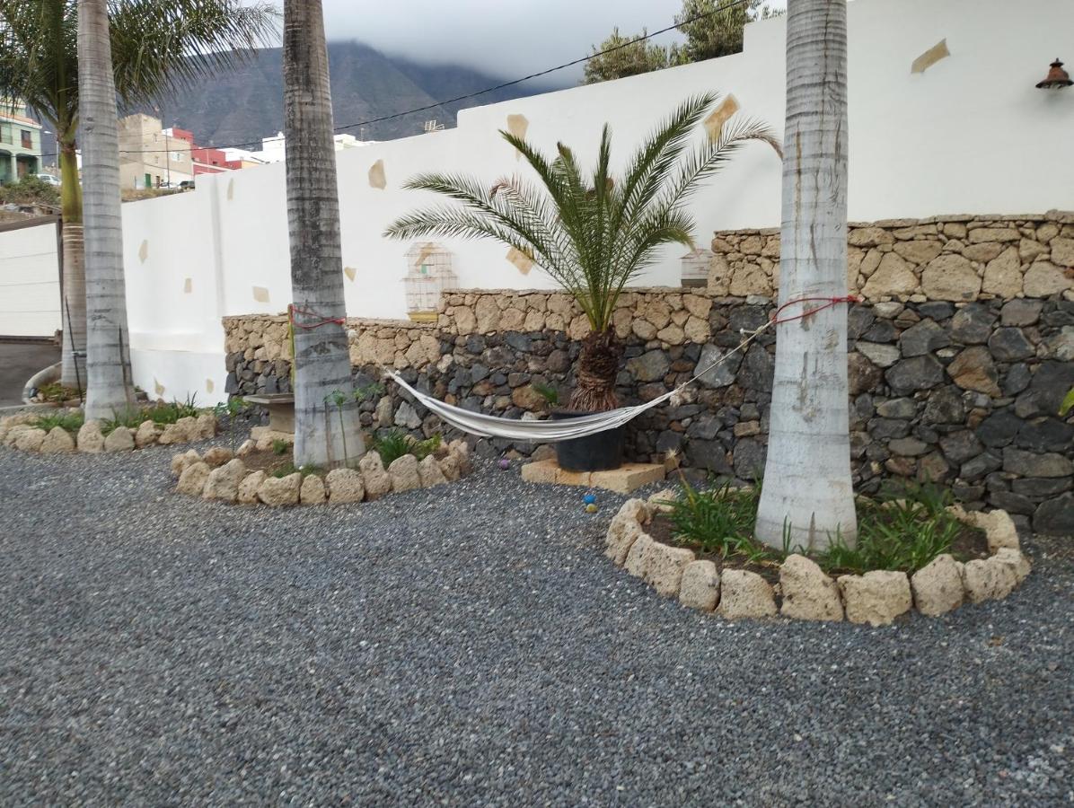 Palmeras * Guimar
